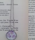 Collana con ciondolo ovale Viola